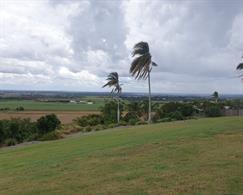 Hummock Lookout